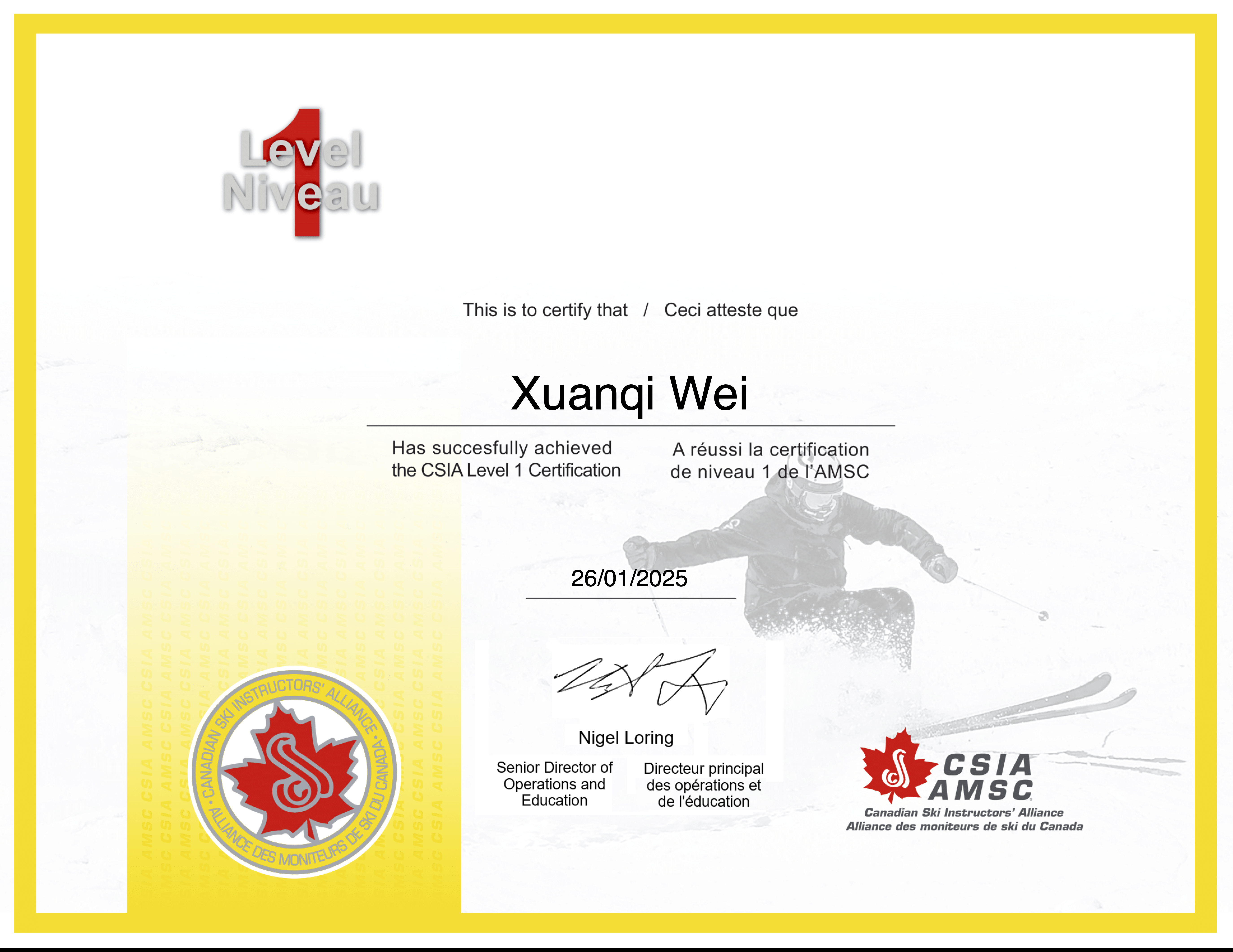 CSIA Level I